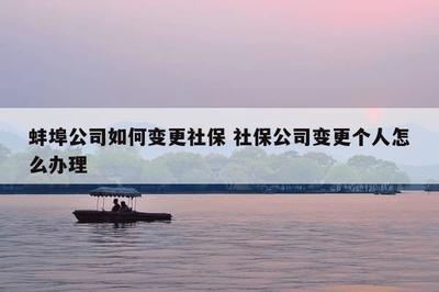 蚌埠公司名称变更的操作步骤和注意事项