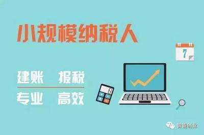 记账报税可以自己去操作吗